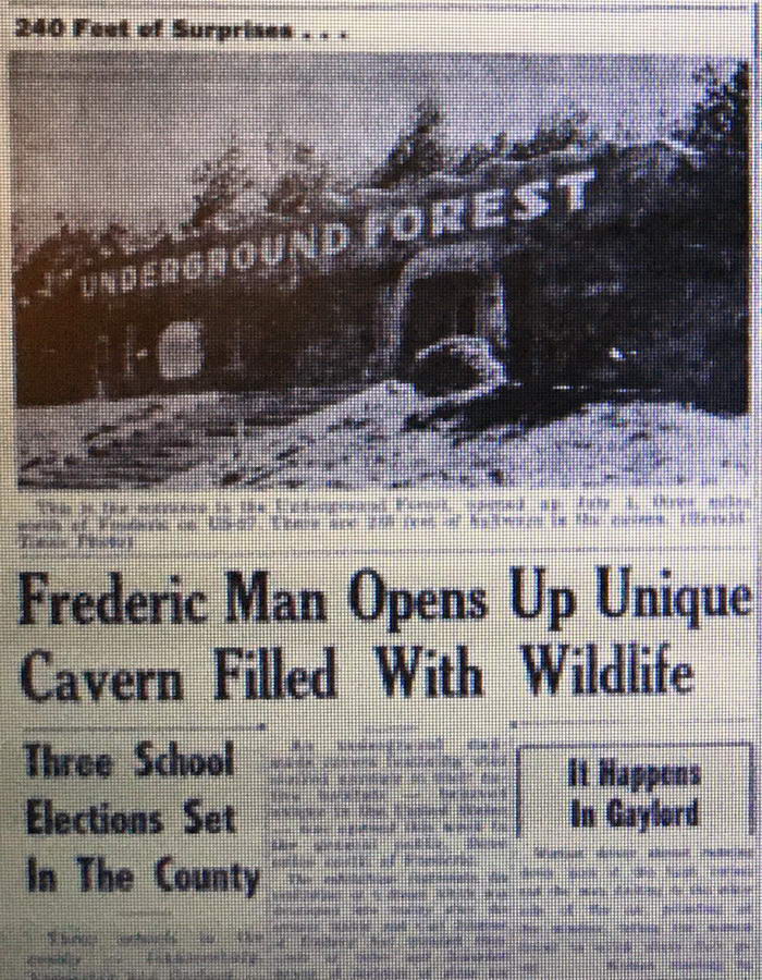 Underground Forest - Old Article (newer photo)